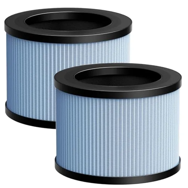 2 Pack DH-JH01/JH06 True HEPA Replacement Filter Compatible with CONOPU DH-JH01 & DH-JH06 Air…